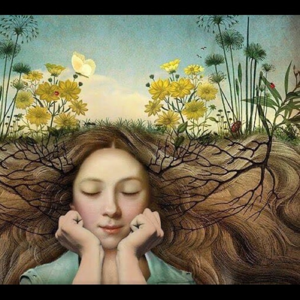 Meet your Posher, Darla